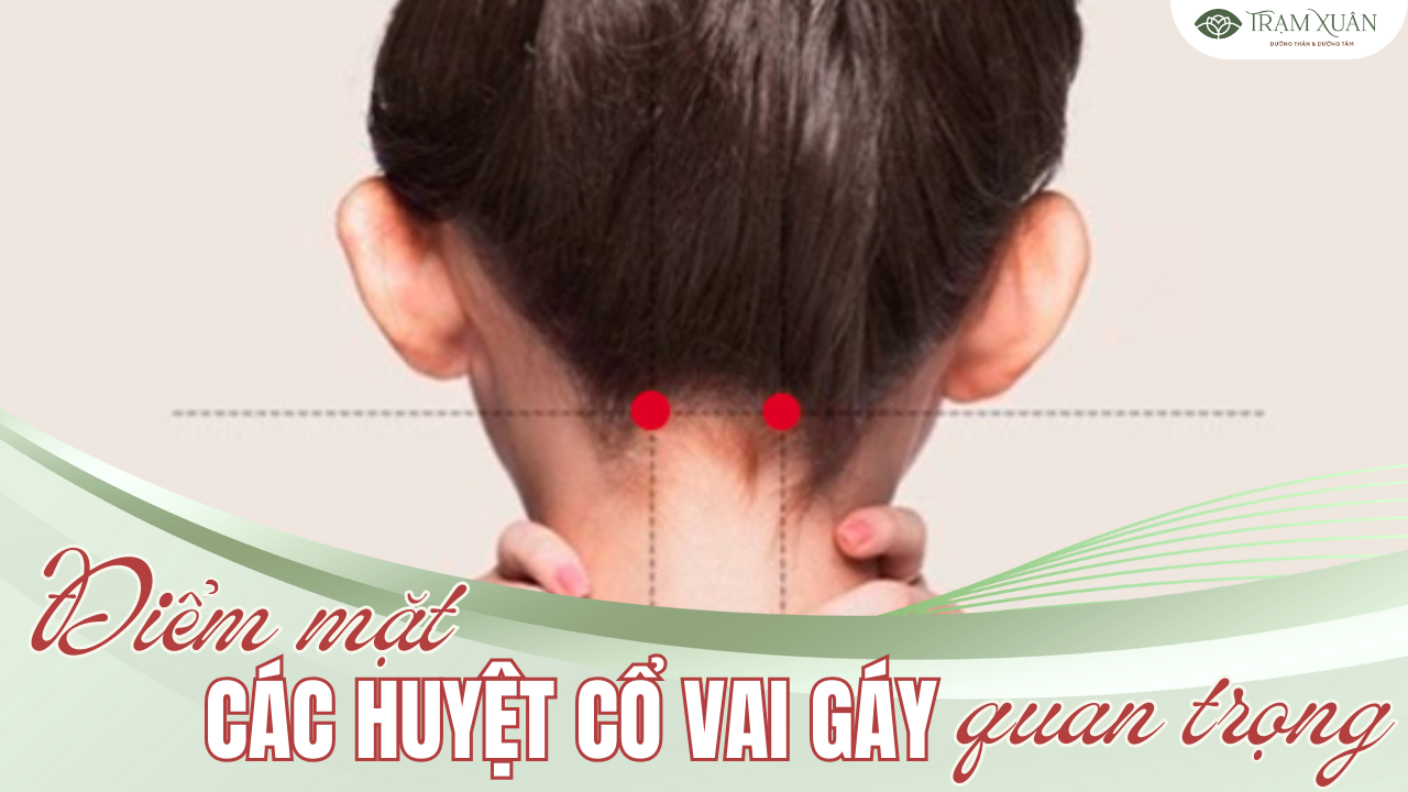 Điểm mặt các huyệt vùng cổ vai gáy quan trọng