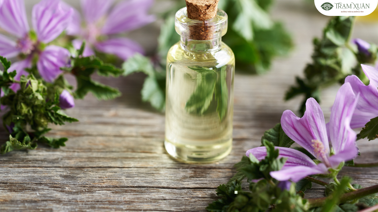 Tinh dầu xoa bóp cổ vai gáy có nguồn gốc từ các loại thảo dược tự nhiên