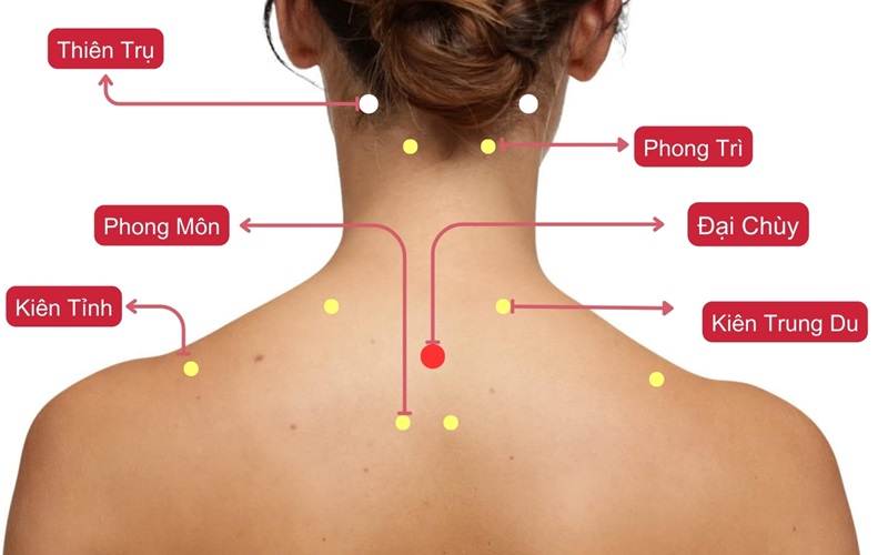 Vị trí các điểm huyệt 