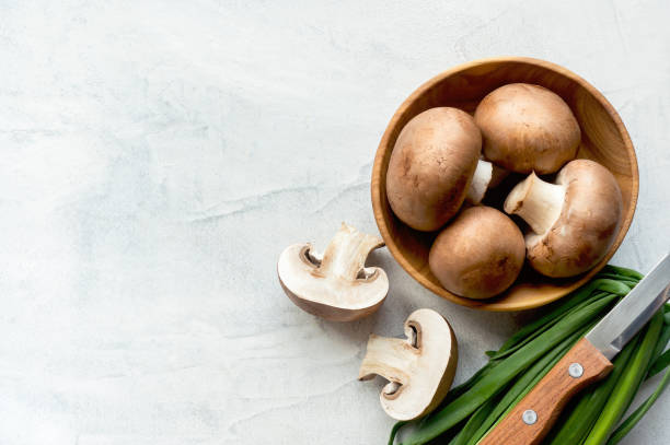 (Nấm hàm lượng lớn vitamin D)